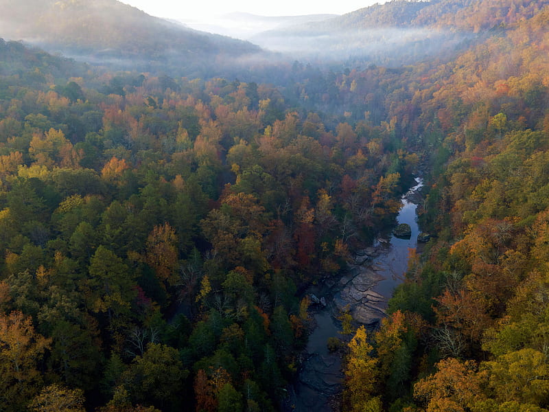 Falling Water Creek, Arkansas, trees, fall, forest, autumn, colors, landscape, mist, HD wallpaper