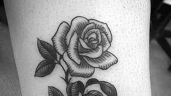 Flower Tattoo On Arm For Women Black Background HD Flower Tattoos Wallpapers   HD Wallpapers  ID 77243