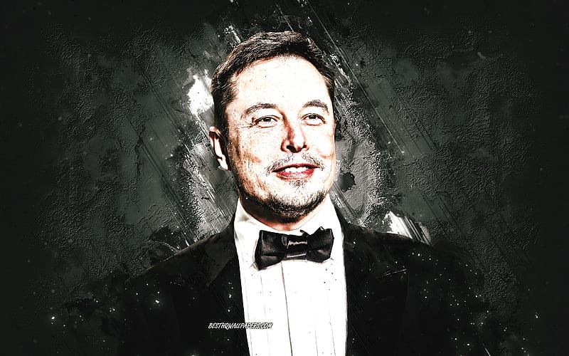 Elon Musk, american inventor, SpaceX, portrait, gray stone background, HD  wallpaper | Peakpx