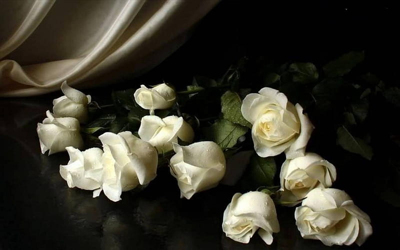 White rose bouquet with dew drops, flowers, drops, white, rose, HD wallpaper White rose bouquet with dew drops, flowers, drops, white, rose, HD wallpaper