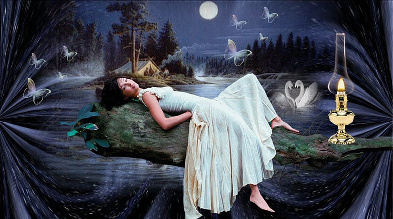 MIDNIGHT SWAN, moon, female, dress, oil lamp, midnight, butterflies, swan, HD wallpaper