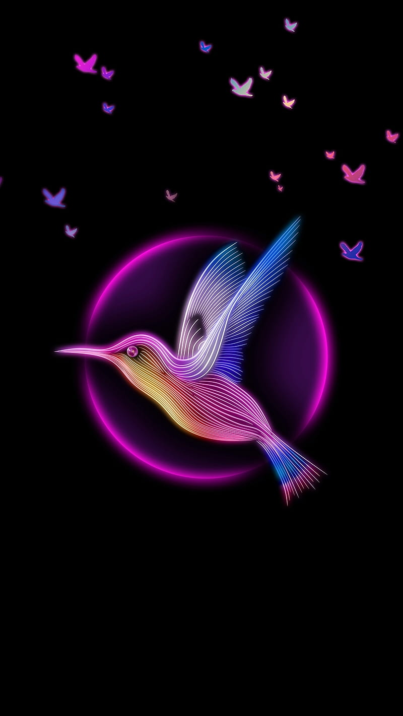 Bird, art, background, beauty design, black, circle, neon, pink, purple, s7, s8, HD phone wallpaper