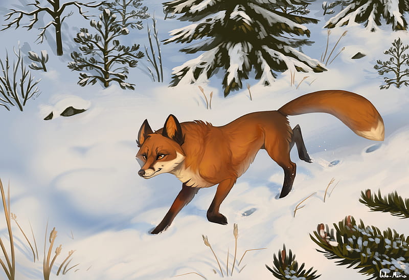 fox, snow, art, forest, winter, HD wallpaper