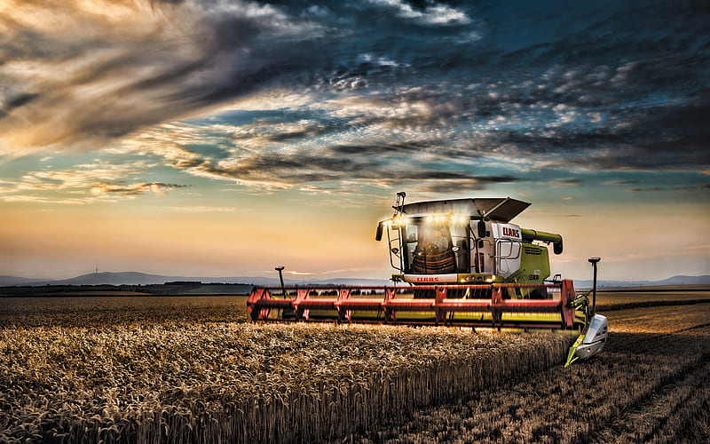CLAAS Lexion 670, wheat harvest, 2019 combines​, agricultural machinery, R, grain harvesting, combine harvester, Combine​ in the field, agriculture, CLAAS, HD wallpaper