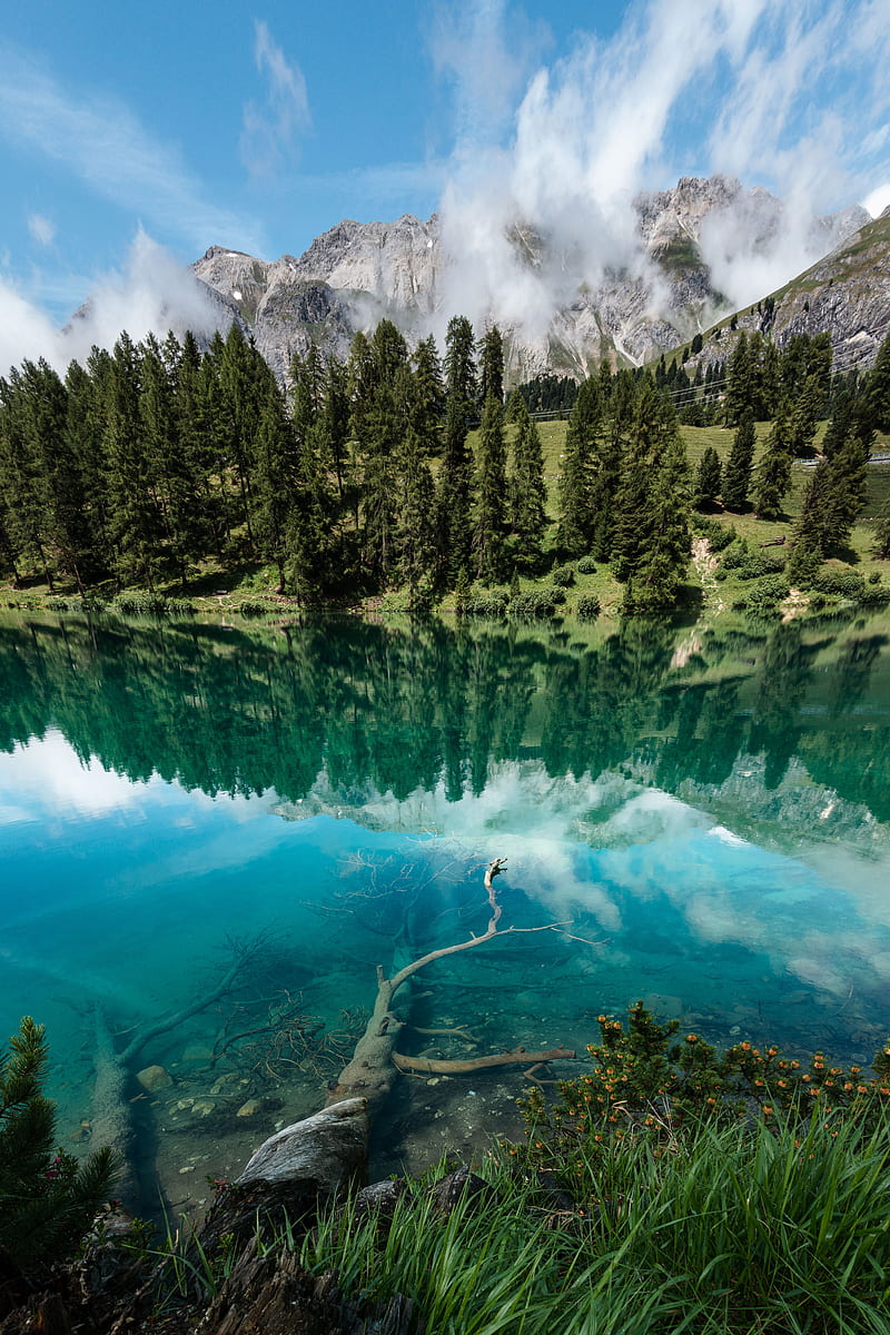 lake, shore, trees, mountains, reflection, HD phone wallpaper