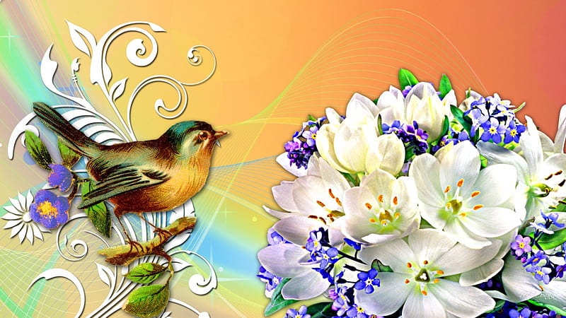 Frangipani Bird Song, frangipani, crocus, bird, plumeria, flowers, spring, HD wallpaper