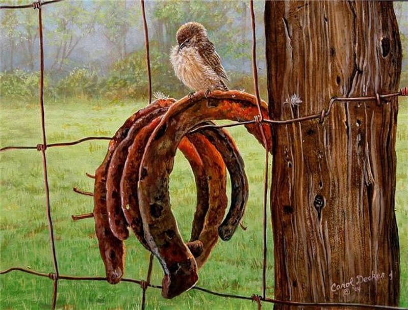 Wren rust, fence, post, wire, horseshoes, songbird, field bird, HD wallpaper