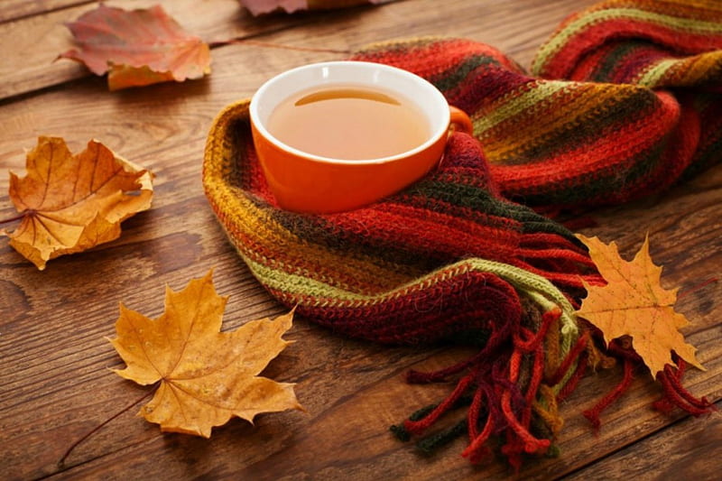 Autumn Coffee, Fall, still life, leaves, coffee, scarf, cup, Autumn, HD wallpaper