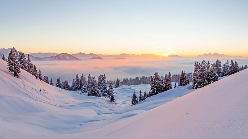 Sunset in the Alps., the alps, sunset, trees, fog, mist, panorama, snow, mountains, austria, nature, outdoor, HD wallpaper