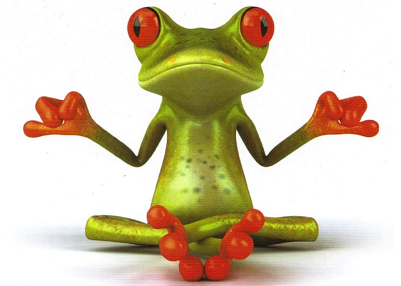 Yoga Frog...Prince?, frog, yoga, green, wannabe prince, HD wallpaper