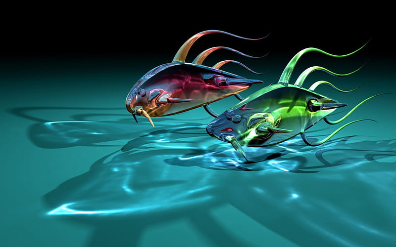 Dos peces, bonito, dos, peces, animales, Fondo de pantalla HD | Peakpx Dos peces, bonito, dos, peces, animales, Fondo de pantalla HD | Peakpx