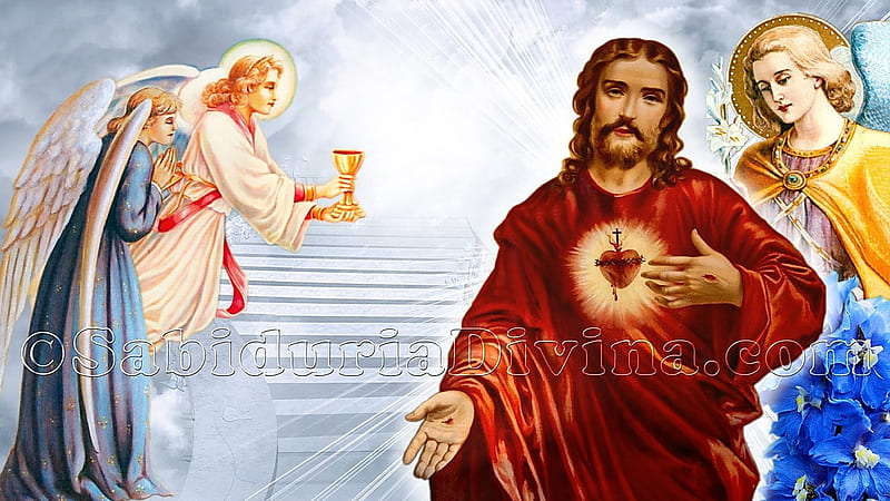 Eucharist, bread of angels, christ, jesus, eucharist, angel, HD ...