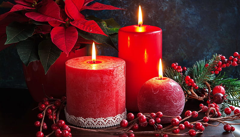 Christmas candles, candle, flame, christmas, holiday, decoration, arrangement, flower, winter, bonito, HD wallpaper