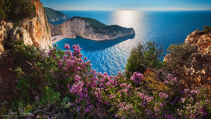 Horizon, Flower, Coast, Ocean, , Greece, Zakynthos, Pink Flower, Navagio Beach, HD wallpaper