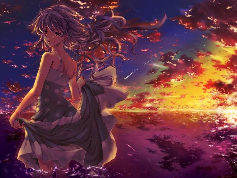 Beautiful Sunset, dress, girl, anime, manga, sunset, yin, darker than black, long hair, HD wallpaper
