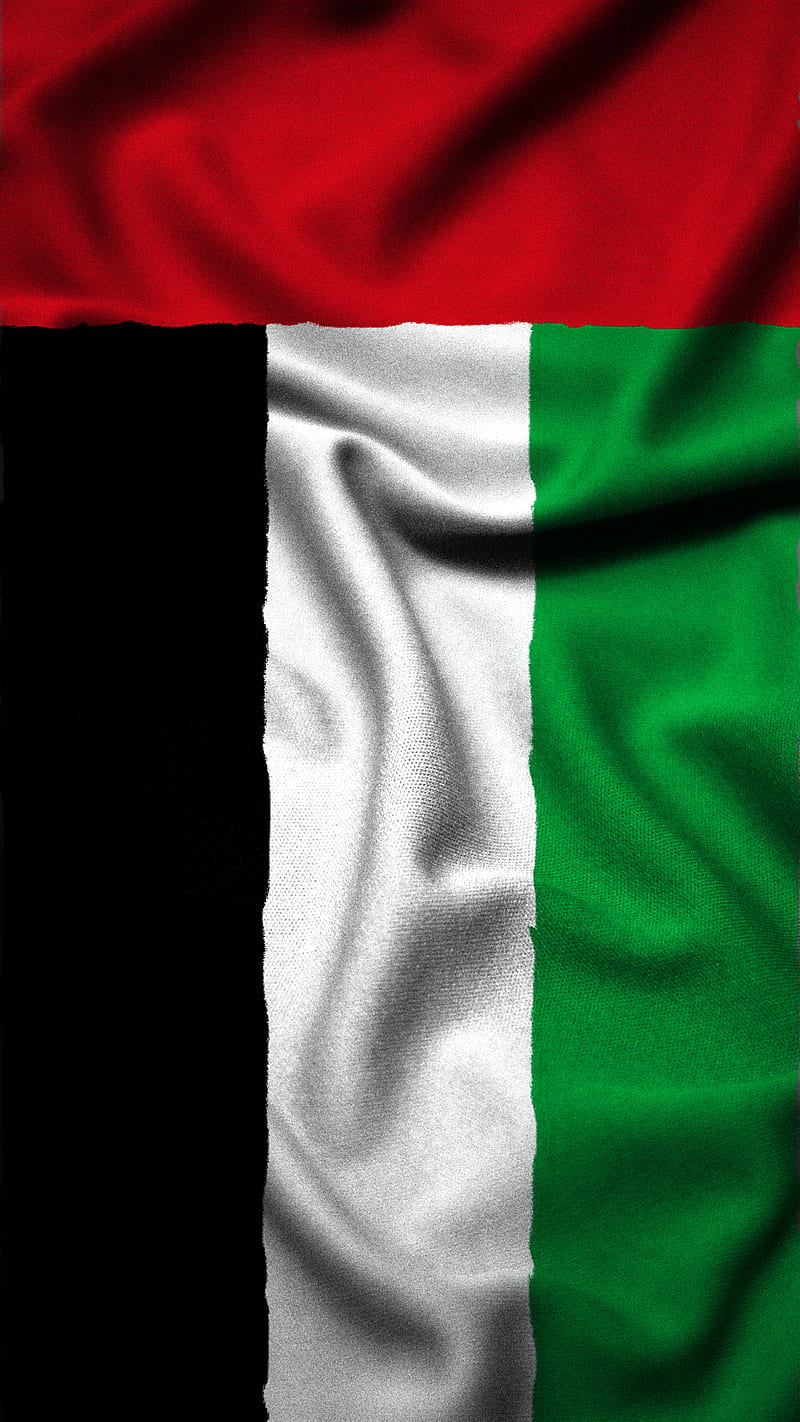 Premium Vector | The national flag of united arab emirates.