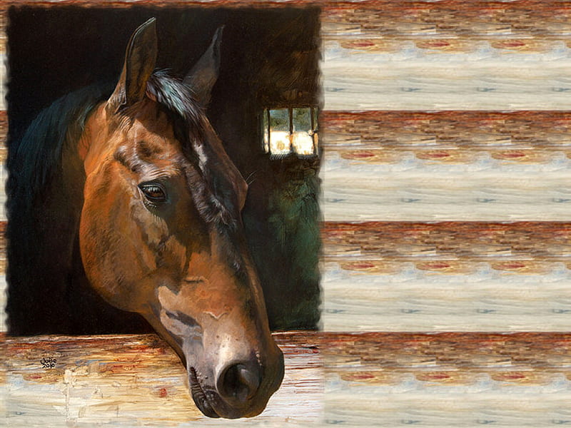 Quarter Horse F1, art, painting, equine, horse, artwork, HD wallpaper
