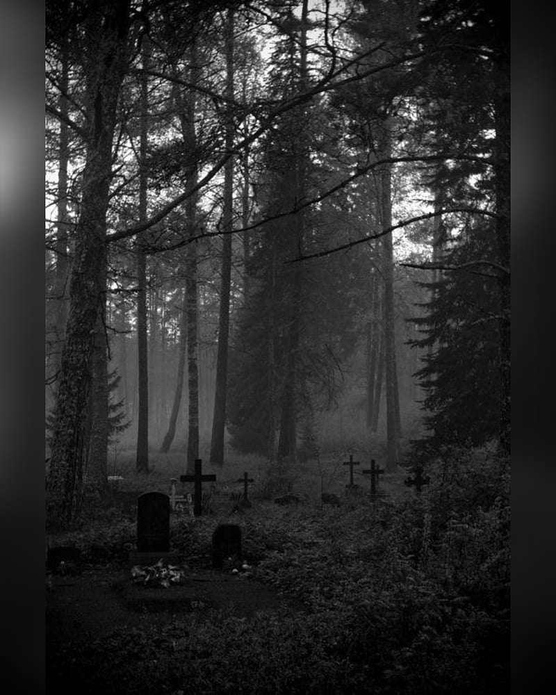 Woods graveyard, spooky, creepy, HD phone wallpaper
