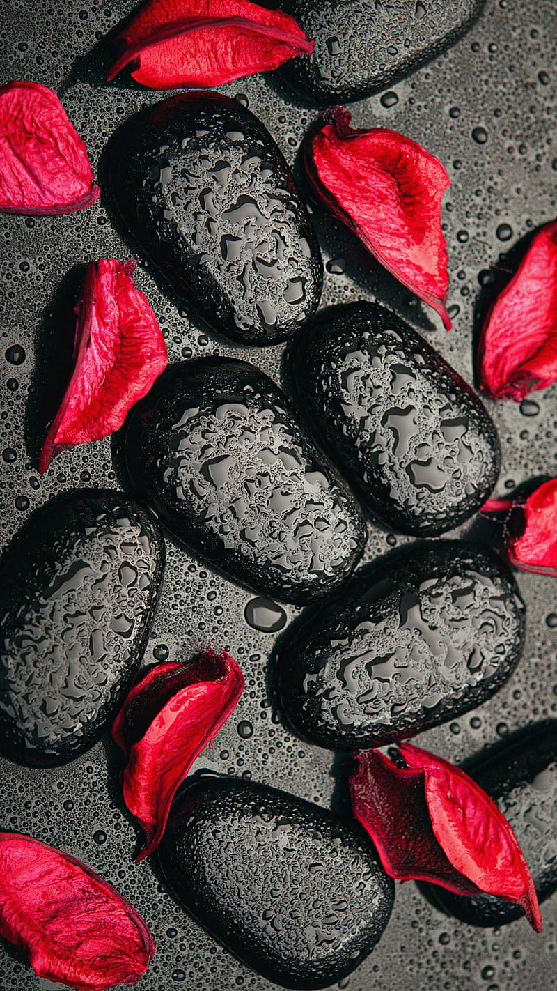 drops, black, leaves, red, stones, water, HD phone wallpaper
