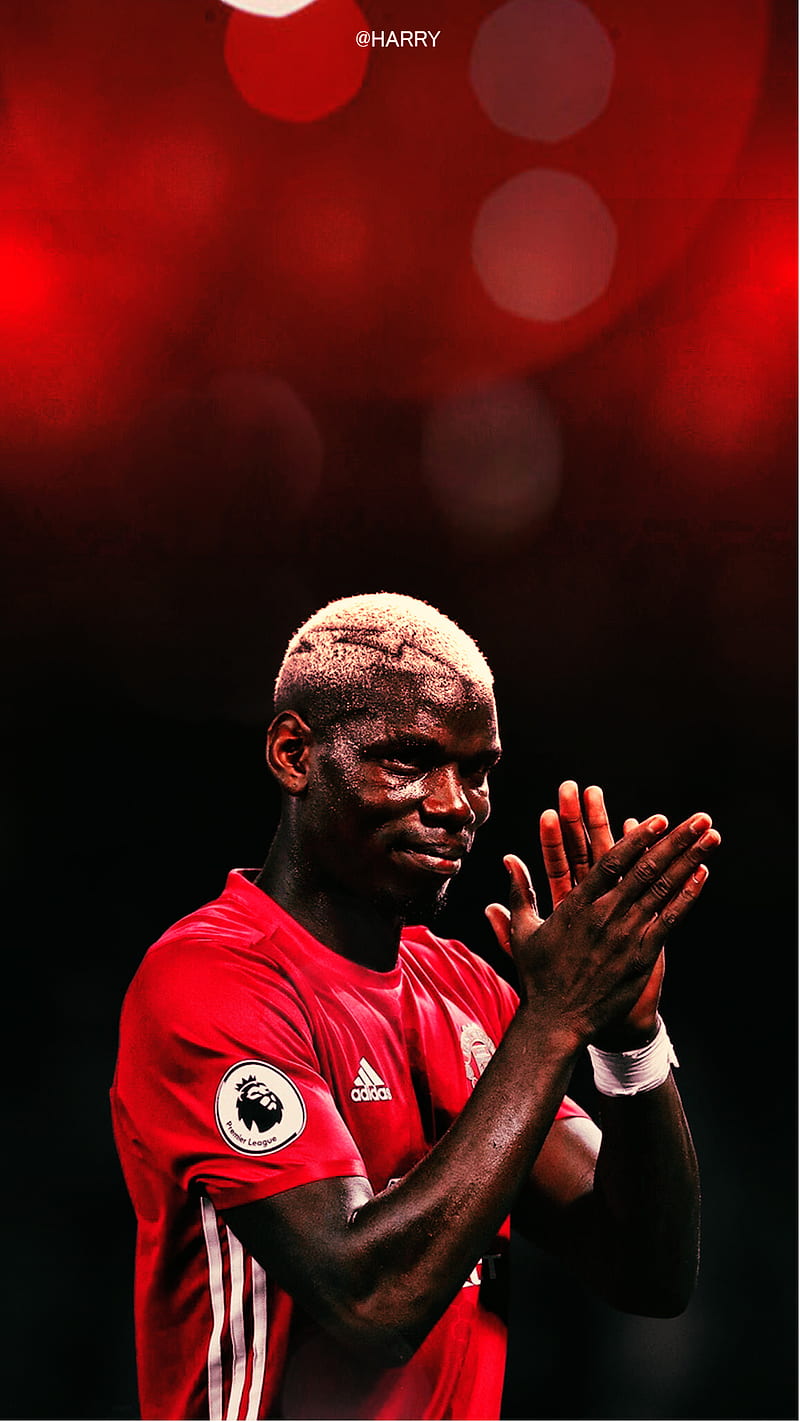 Paul Pogba, england, epl, french, man utd, HD phone wallpaper