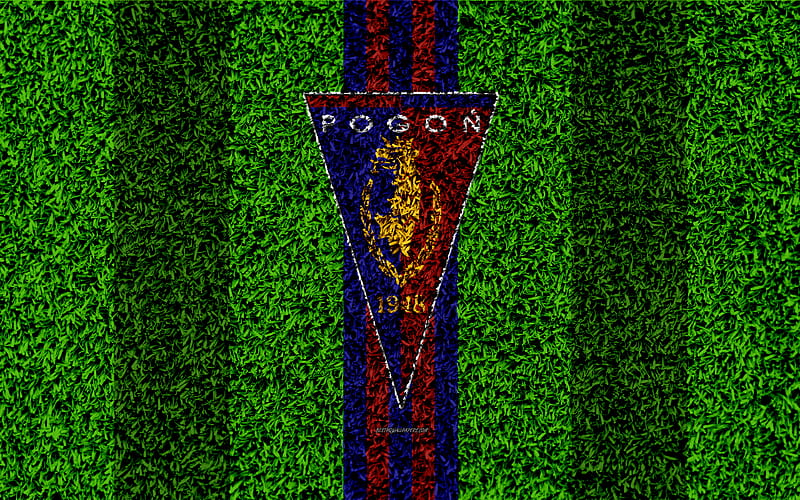 Pogon Szczecin FC logo, football lawn, Polish football club, green grass texture, blue red lines, Ekstraklasa, Szczecin, Poland, football, art, HD wallpaper