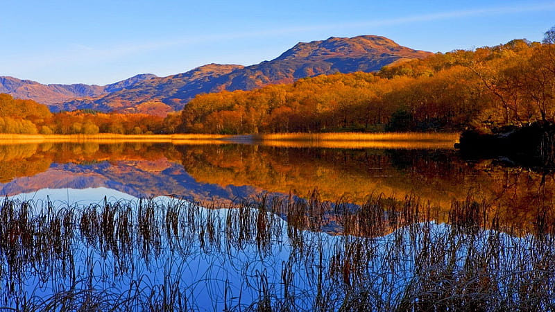Loch Lomond-Scotland, colorful, fall, autumn, grass, clear, falling, sky, lake, foliage, pond, mountain, water, season, Scotland, crystal, reflection, HD wallpaper