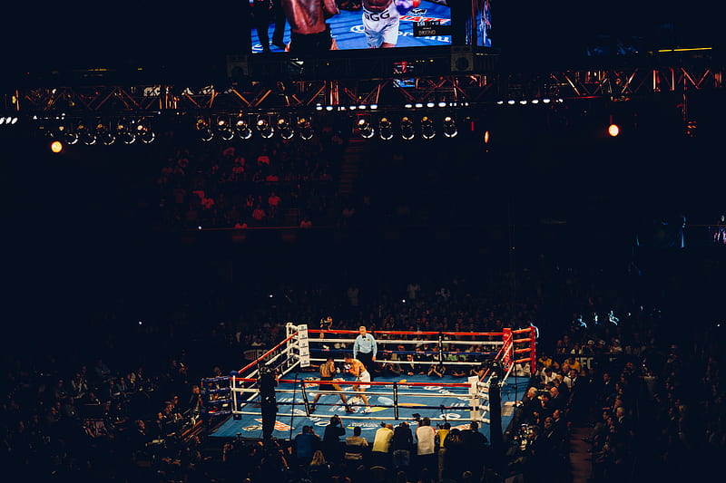 boxing ring, HD wallpaper