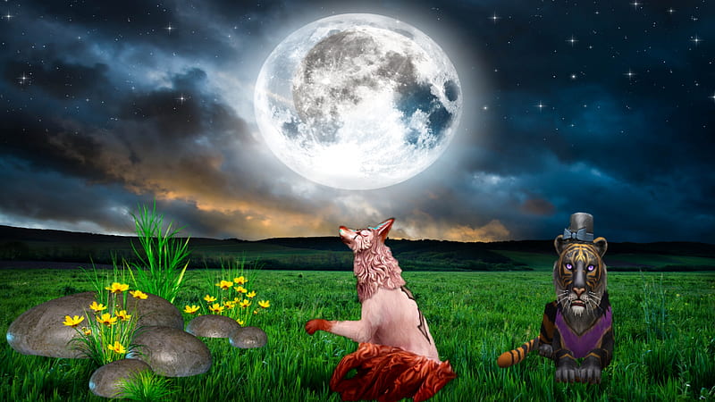 Fox, animal, edit, moon, night, picsart, wildcraft, HD wallpaper | Peakpx