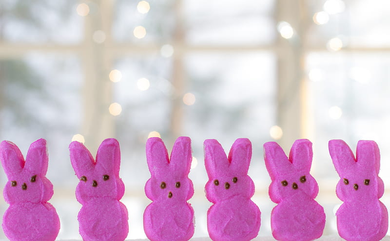Easter Candy Bunnies Ultra, Holidays, Easter, Color, Bunny, Pink, Magenta, Candy, Holiday, Sweet, Cute, bokeh, Sugar, fuchsia, dessert, HD wallpaper
