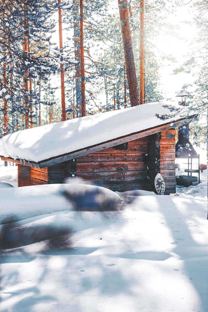 A Cabin in Woods, A, Vithurshan, artic, cabin, colorful, europe, finland, lapland, vithurshan.jpeg, winter, HD phone wallpaper