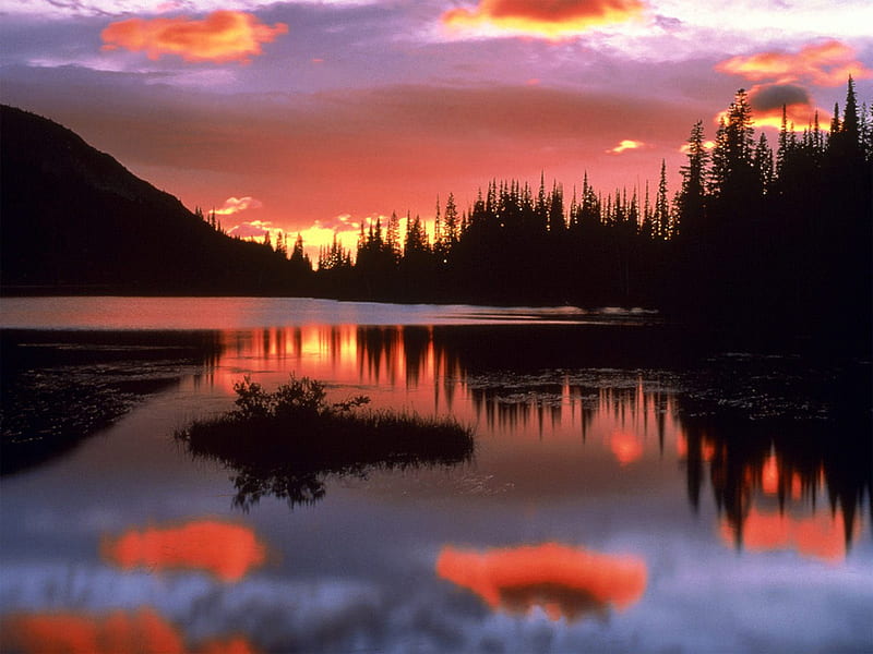 Reflection Lake at Sunrise, Mount Rainier National Park, Washington, wonderful, sunlights, orange, scarlet, yellow, clouds, cenario, nice, gold, scenario, ref, forests, morning, paisage, rivers, declive, hills, sunrises, islands, paysage, brightness, cena, golden, black, sky, trees, lagoons, panorama, water, cool, awesome, violet, hop, bay, red, ambar, bonito, trunks, graphy, leaves, green, sunsets, amber, land, mirror, scenery, pink, blue amazing, downhills, leaf, pond, paisagem, plants, nature, branches, natural, scene, scarlat, HD wallpaper