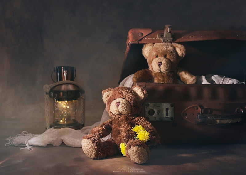 Man Made, Stuffed Animal, Lantern, Suitcase, Teddy Bear, Still Life, HD wallpaper