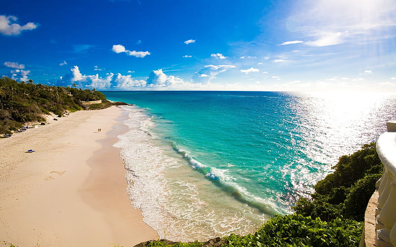 beach, ocean, shore, coast, palm trees, sand, HD wallpaper