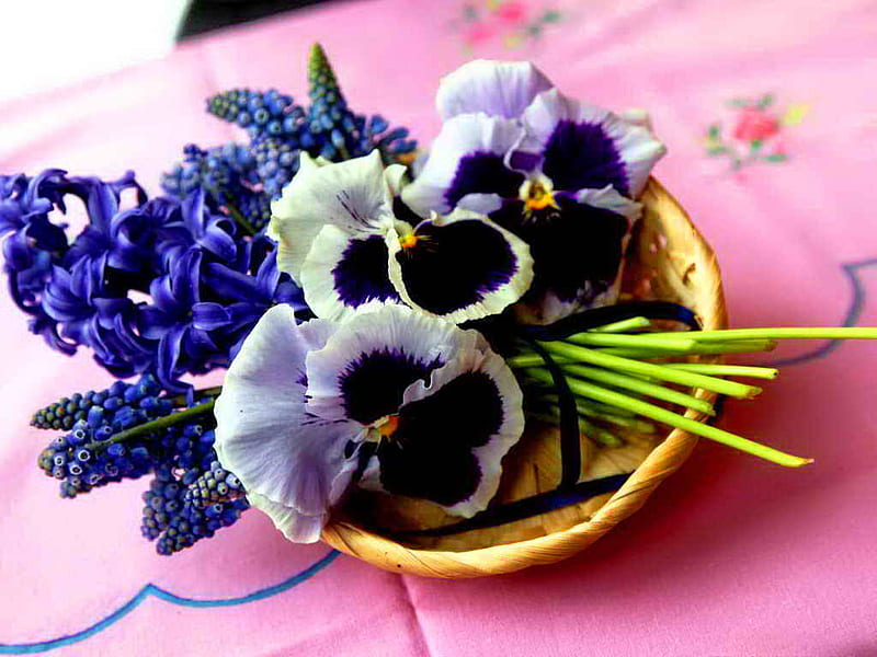 Fragrant flowers, pretty, hyacinth, lovely, fragrant, violets, colors, bonito, spring, nice, flowers, plate, HD wallpaper