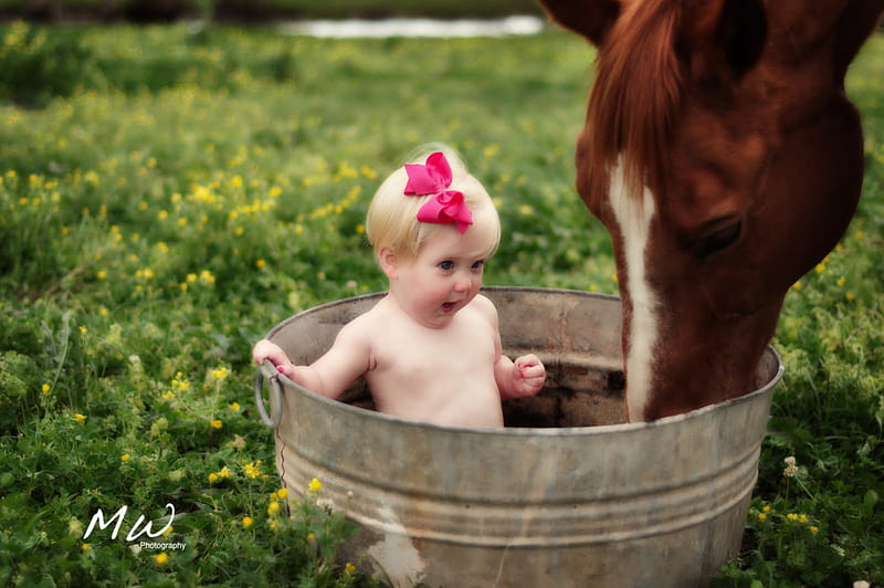 child and horse best friends, child, horse, grass, pail, HD wallpaper