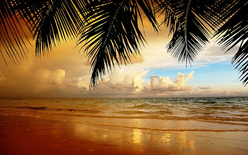 Beautiful Beach, beach, ocean, bonito, nature, trees, sky, sea, blue, HD  wallpaper | Peakpx