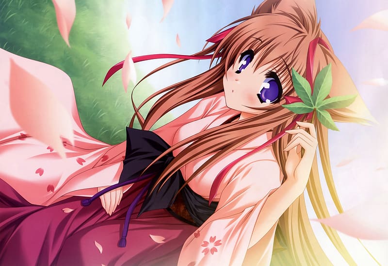 Anime, Tayutama: Kiss On My Deity, HD wallpaper