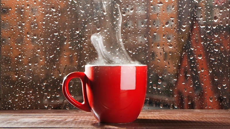 Rainy day, drink, cup, drops, rain, tea, fall, autumn, raindrops, rainy, graphy, coffee, HD wallpaper