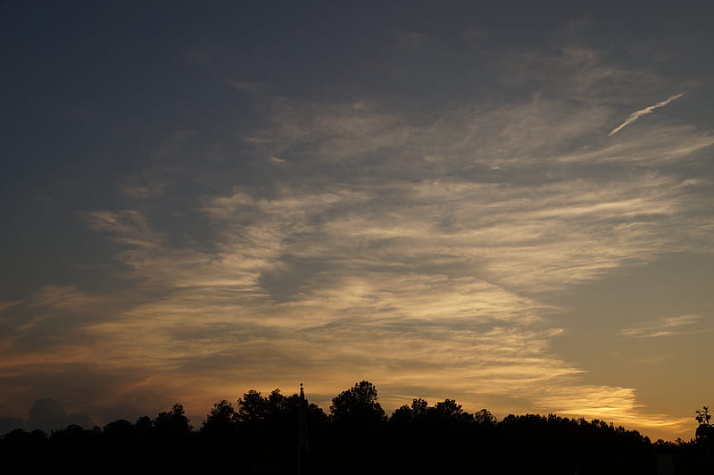 Trees, sunset, clouds, sky, HD wallpaper | Peakpx