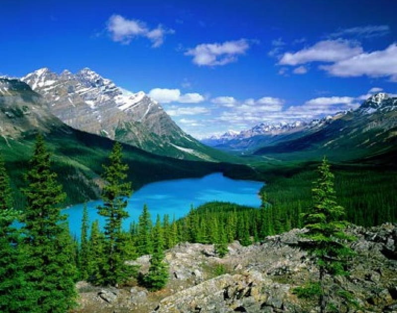 Peyto Lake, Alberta, Serene, Peaceful, Canada, HD wallpaper