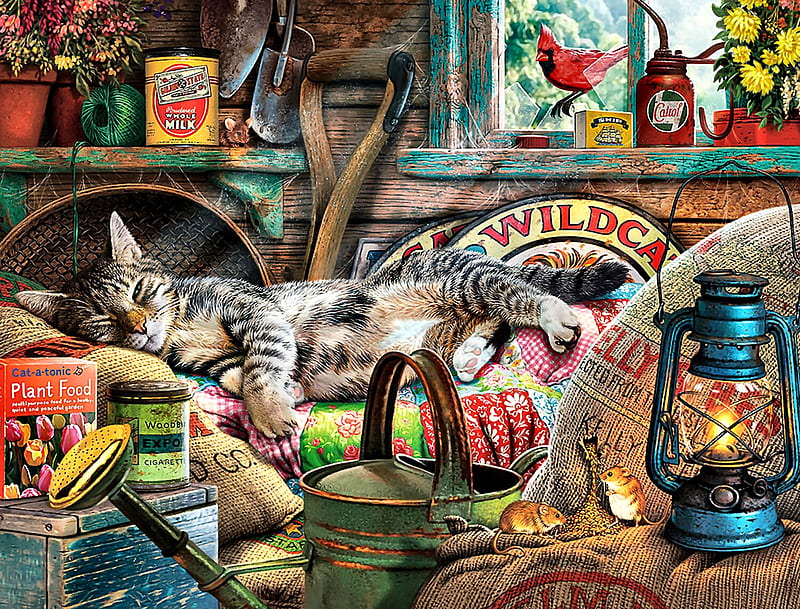 Laid-back Tom - Cat F1C, art, bonito, pets, illustration, artwork, animal, feline, painting, wide screen, cats, HD wallpaper