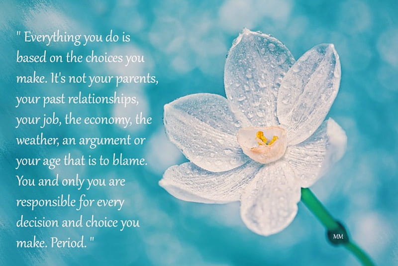 Everything, choices, life, flower, responsibility, decision, Quotes, HD wallpaper