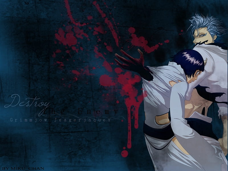 Destroy the Enemy, bleach, fighting, espada, blood, blue hair, spiky hair, anime, hand, grimmjow jeagerjaques, arrancar, luppi, grimmjow, attack, HD wallpaper