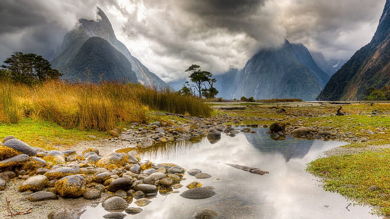 Milford Sound, New Zealand, Mountains, rain, Trees, Clouds, Grass, Stones, HD wallpaper