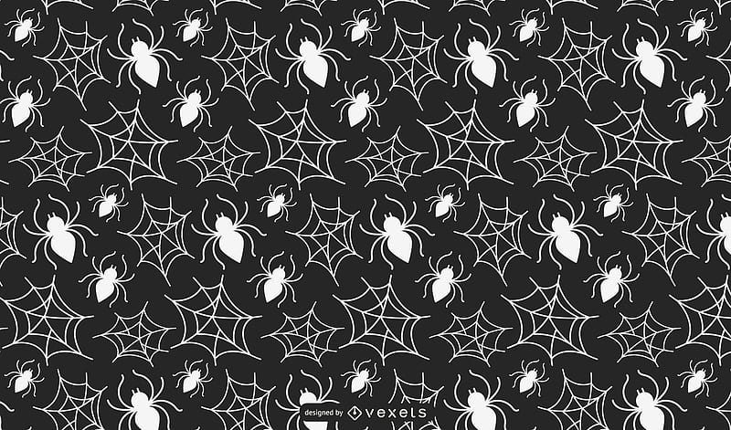 Texture, pattern, web, paoer, black, white, spider, hallween, bw, HD  wallpaper | Peakpx