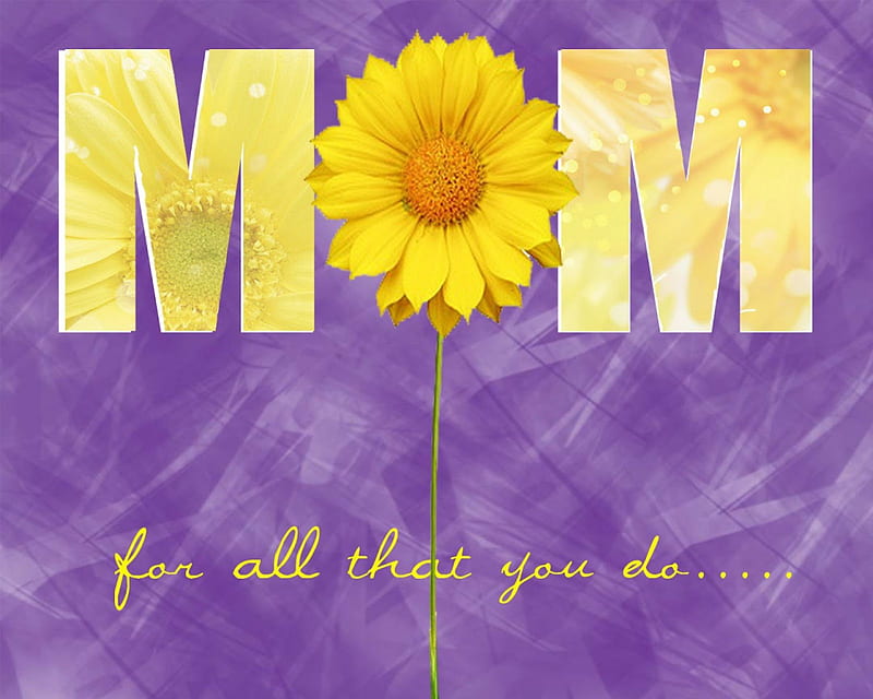 For all that you do, MOM, wonderful, special, yellow, lavender, person, love, bright, siempre, light, complementary, life, colors, sunflower, declaration, for all that you do, purple, entertainment, flower, always, sunshine, fashion, HD wallpaper