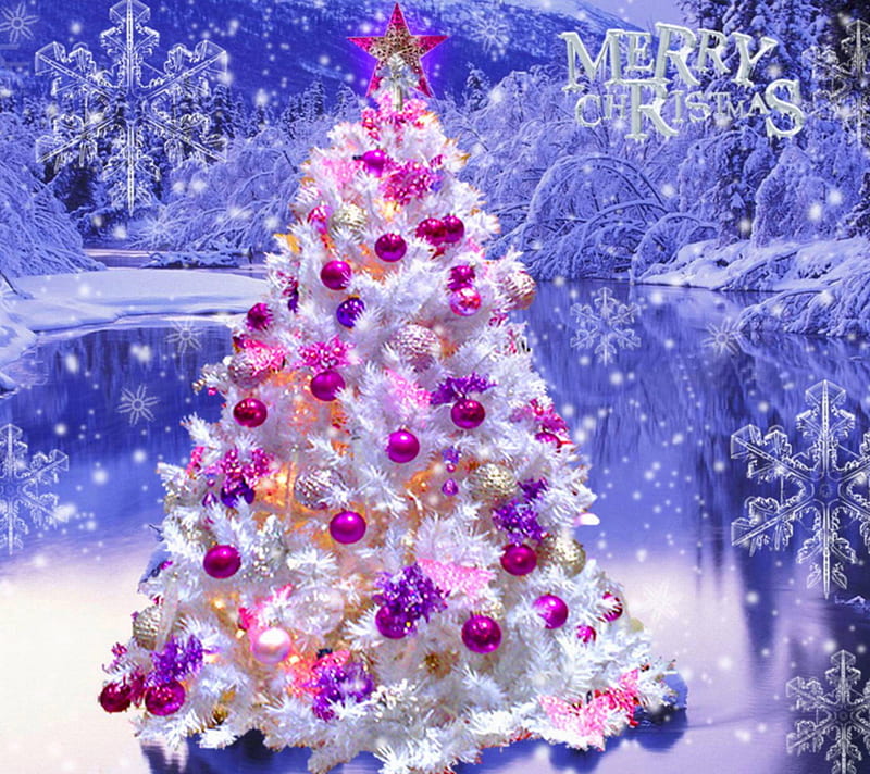 Christmas, tree, xmas, HD wallpaper