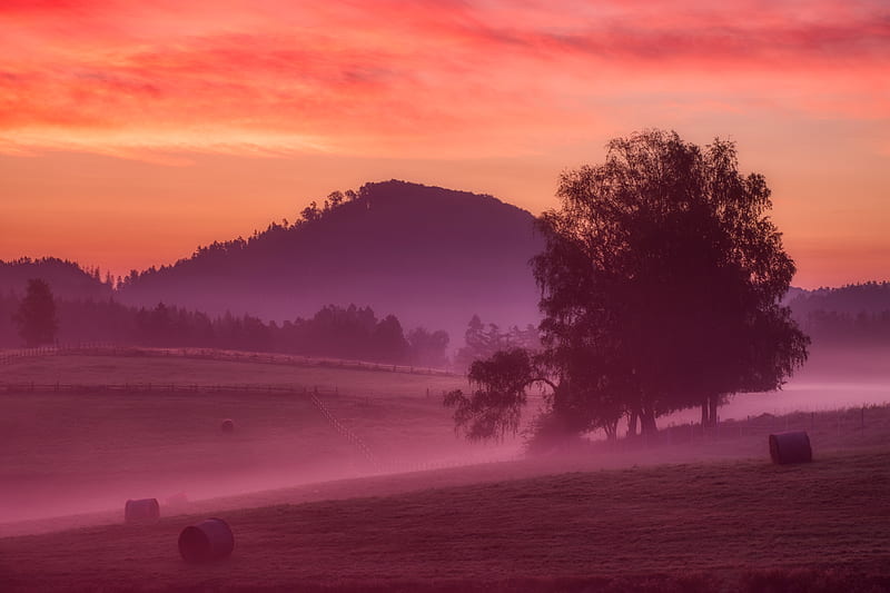 Misty Morning Sunrise, HD wallpaper