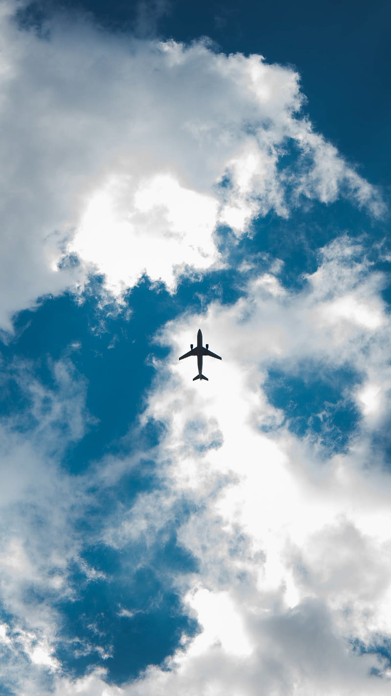 airplane, sky, clouds, bottom view, HD phone wallpaper