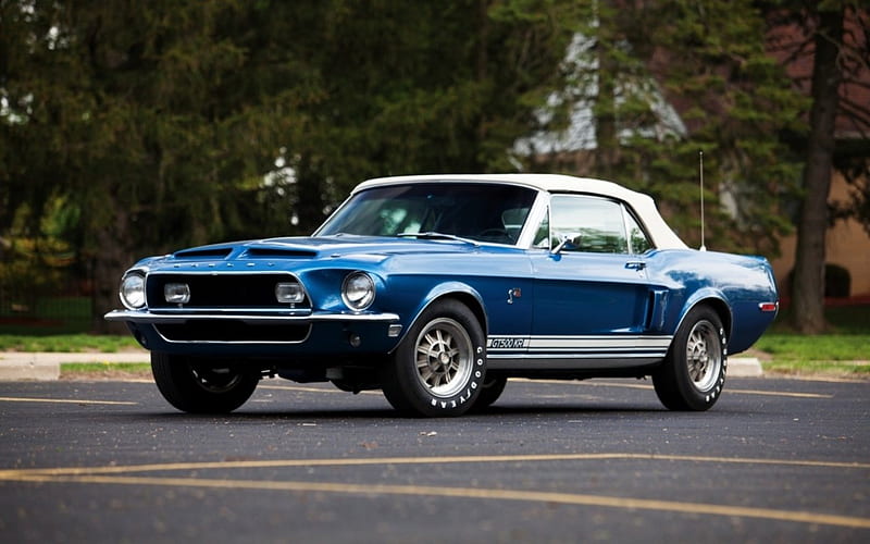 1968 shelby GT500, shelby, 1968, GT500, car, HD wallpaper | Peakpx